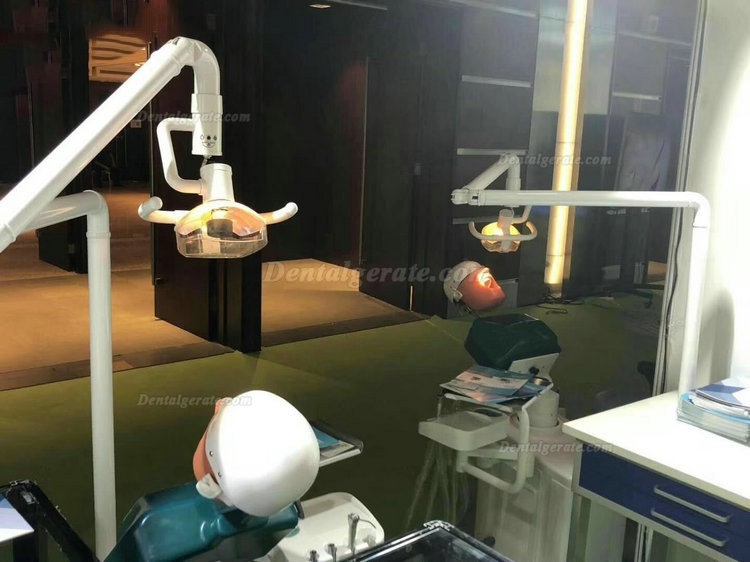 Jingle JG-A1 Phantomkopf Zahnmedizin-Patientensimulator Dentale Simulationseinheiten